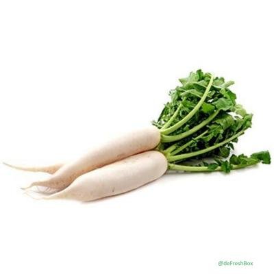 White Radish (Sada Mula)