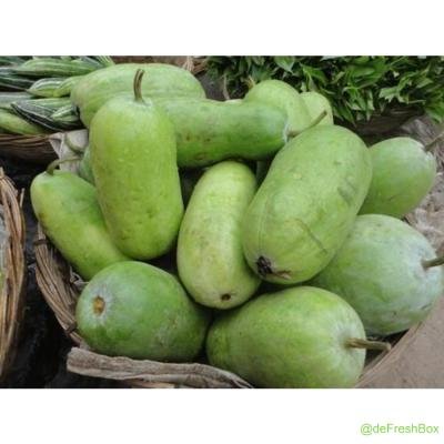 Chal Kumro (Ash Gourd), Large